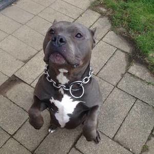 Meet your Posher, Christopher